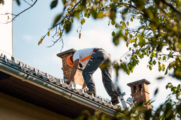 Best Roof Gutter Cleaning  in Sneedville, TN