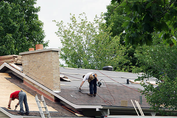 Roof Gutter Cleaning in Sneedville, TN